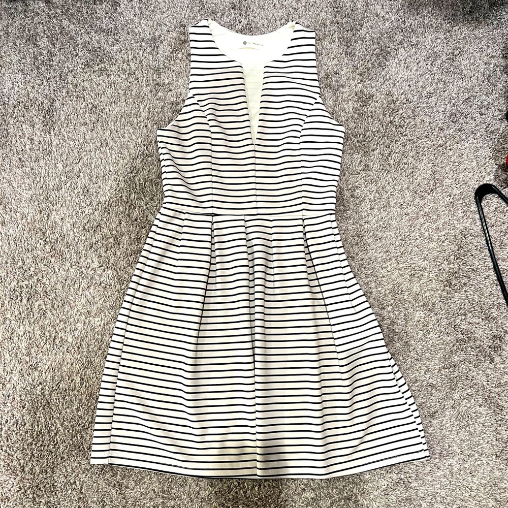 The Impeccable Pig Dress Size Small